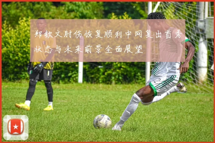 郑钦文肘伤恢复顺利中网复出首秀状态与未来前景全面展望
