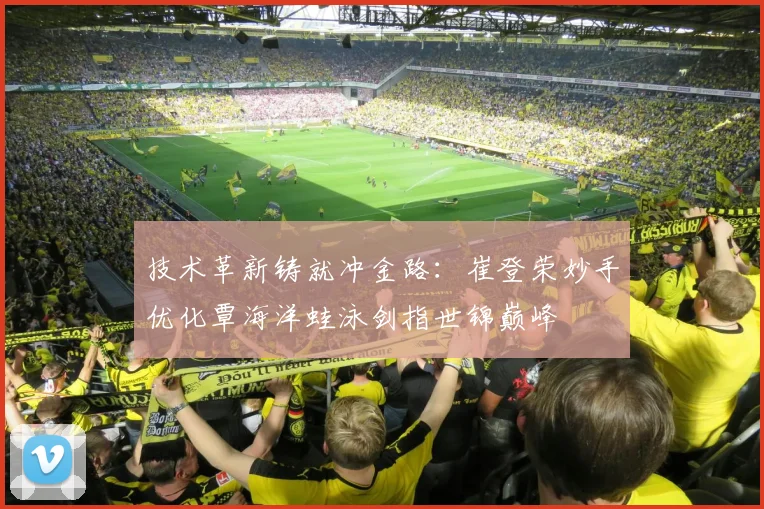 技术革新铸就冲金路：崔登荣妙手优化覃海洋蛙泳剑指世锦巅峰
